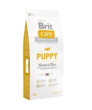 Собака | brit-petfood